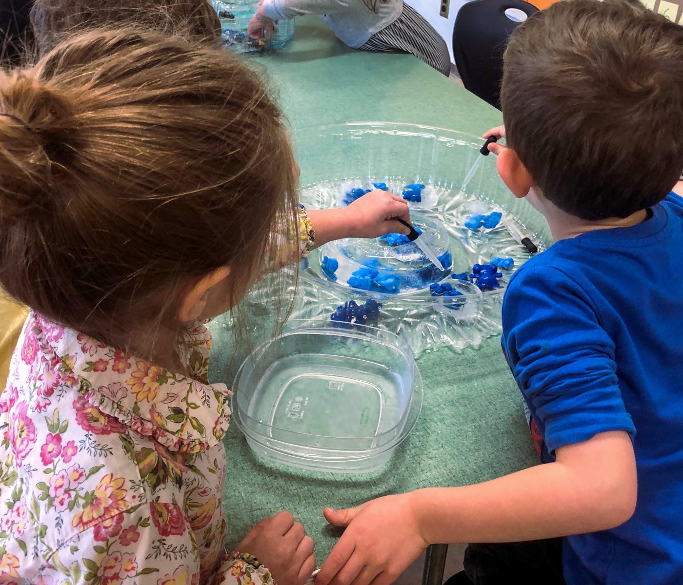 a group picture of the adult choir.