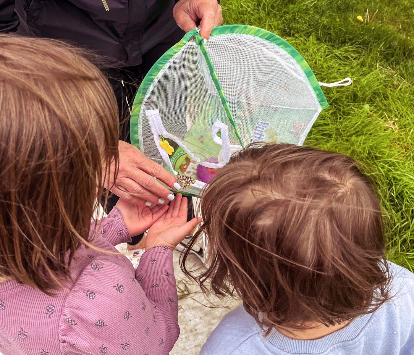 a group picture of the adult choir.